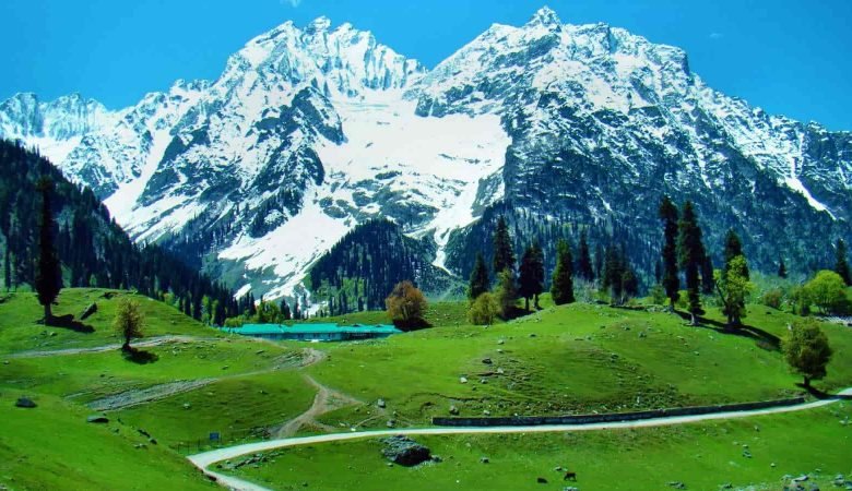 Sip Kahwa Like a Local: Best Tea Spots in Kashmir