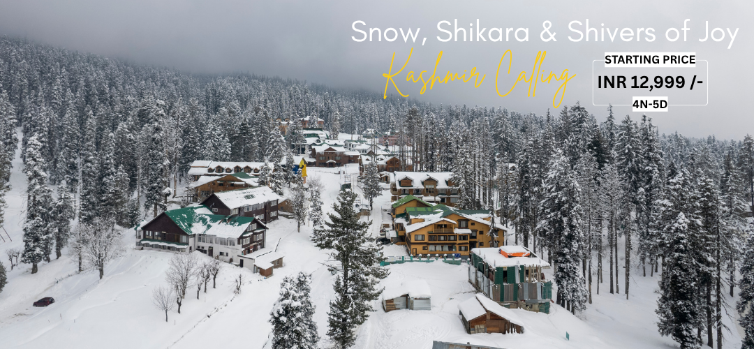 Snow, Shikara & Shivers of Joy (4)