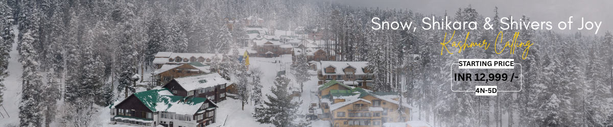 Snow, Shikara & Shivers of Joy